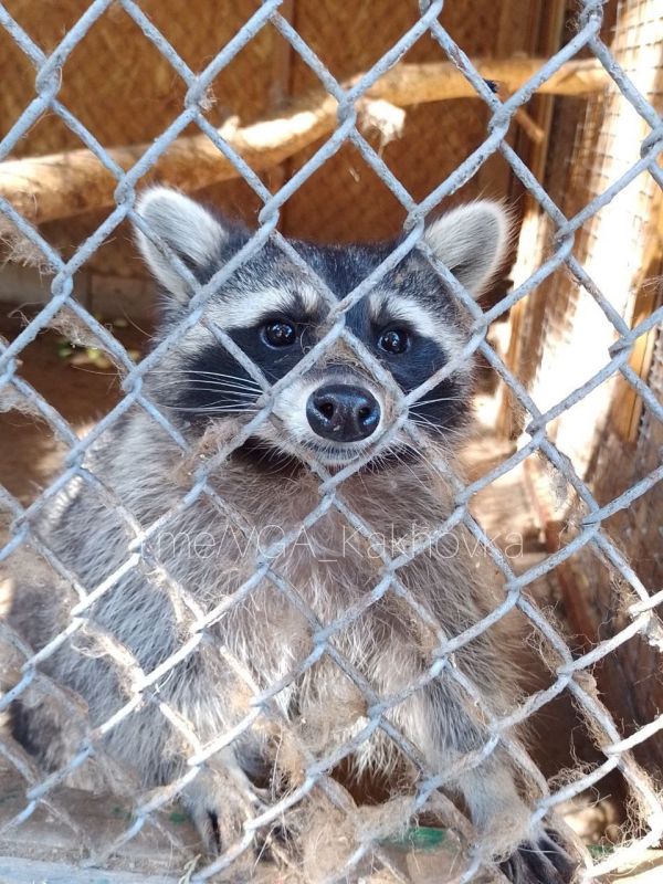 �� ������������� � ����������� ������ ����������� �������� � ��� � ��������� � ��, ����� ����� ���������!