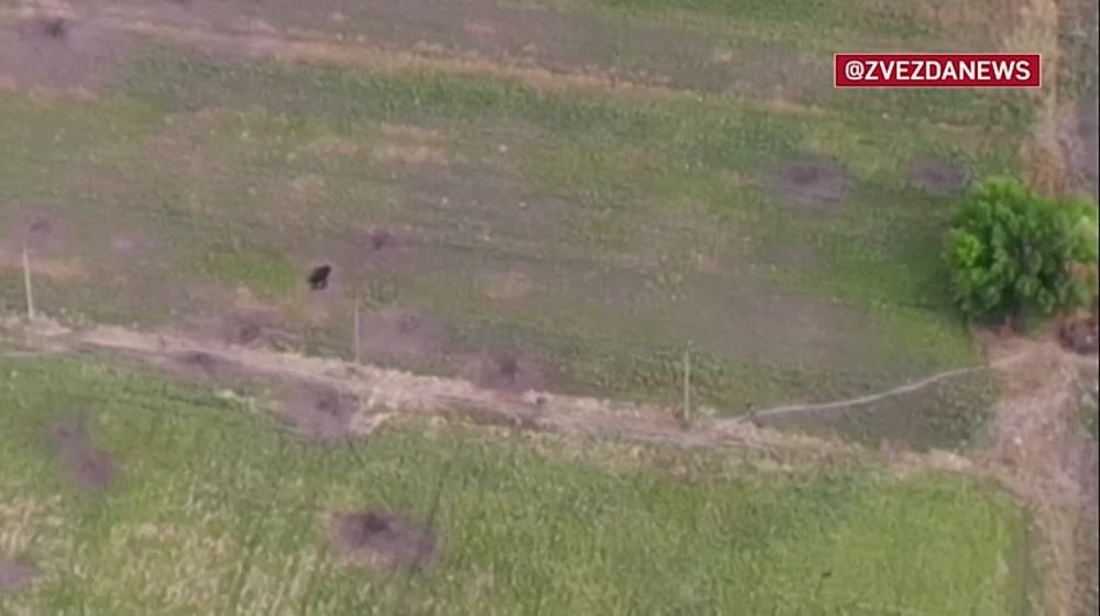 ���������� ���������� ���������� �������� ��� � ���������� �������