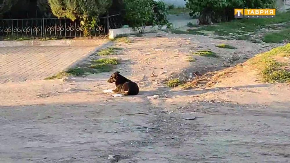 ���������� ��������� �� ������ ������� ���������� �� ����������