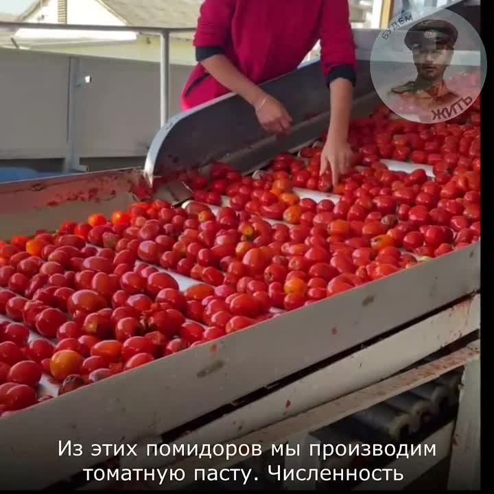 � ��������� ���������� ������� ������ ����������� �������� �����