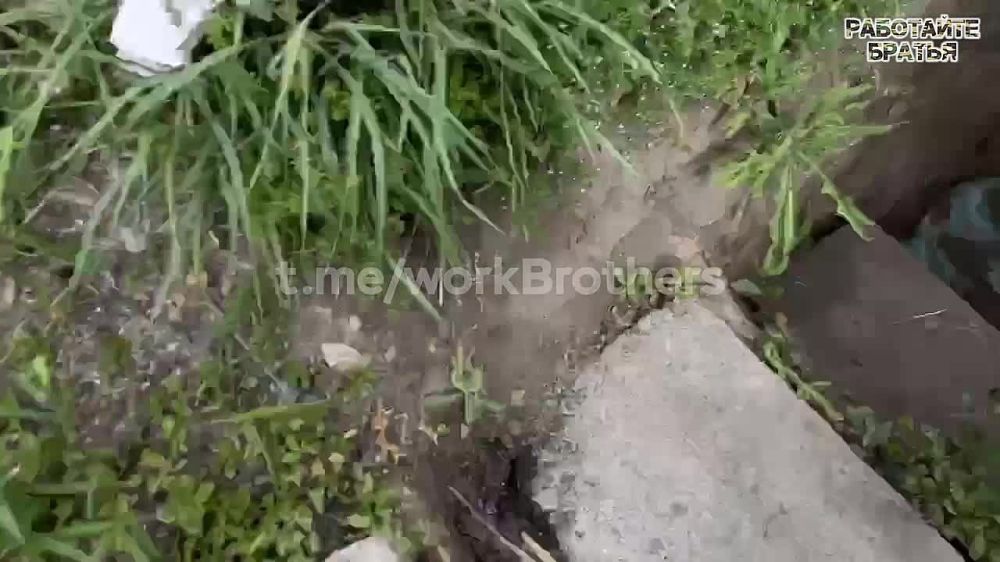 � ���������� ����������� ������� ��� ���������� ����������-���������� �����, �� ������� ���������� ����� 50 ������ �������