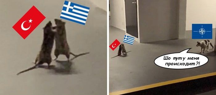 ������ ��������� ������ ����������� � �������