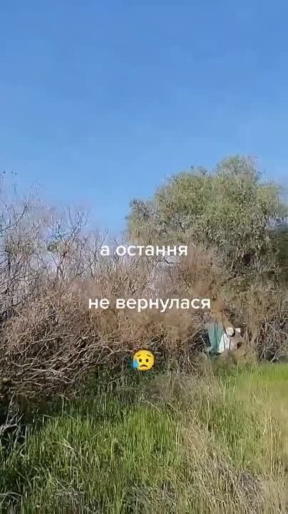 -1 ���������� �������� �� ���������� ����������� � ������ �������