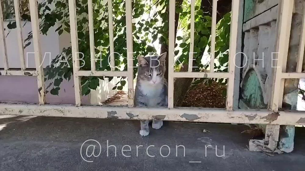 ������ ��� � �������� �����