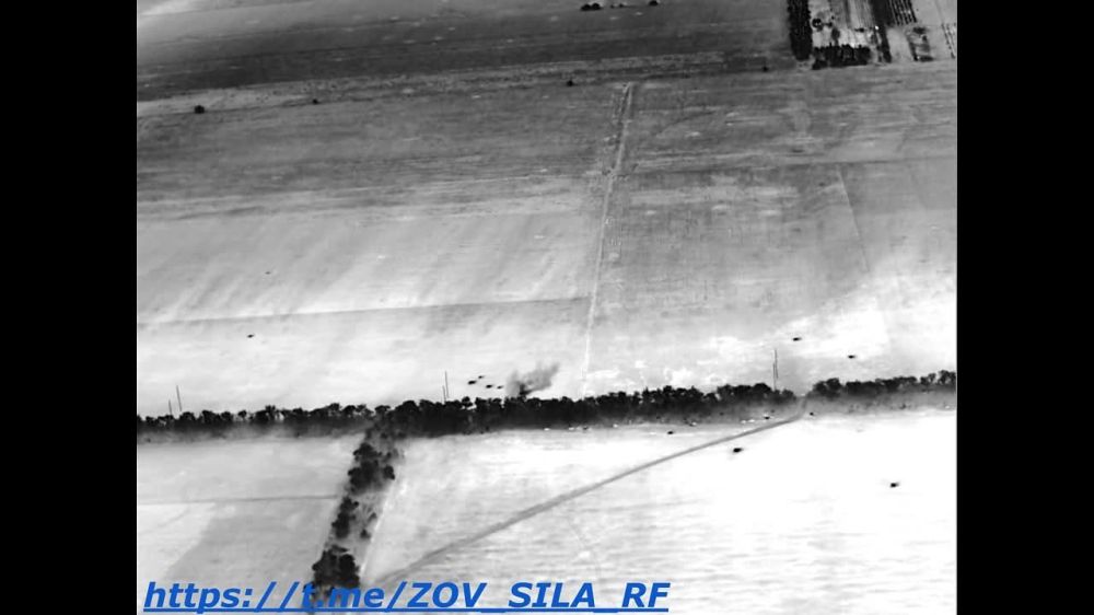 ������ ��������� ��������� �� ���������� �����������