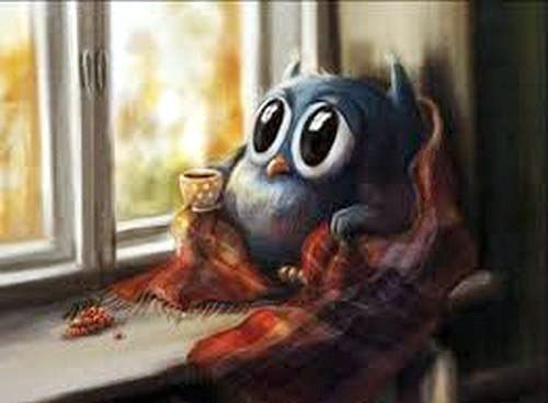 ����, ��� ���... ��� � ���������� �����..