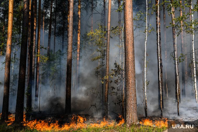 ��-�� ��������� ��� ����� ���������� ����������