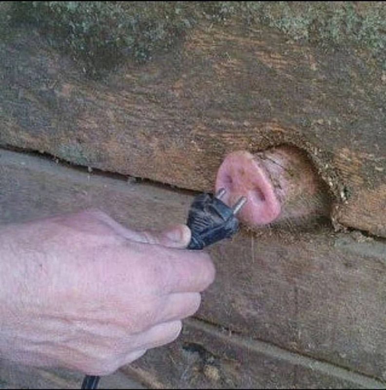 ������� ��� �������. � ��� �������� ���� ��