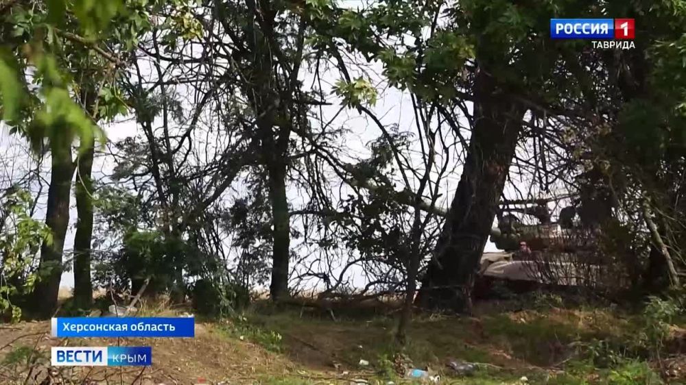 ���� ��������� �� ������� ����������