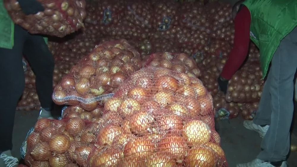 ������ ������ ������ �� ���������� ������� ������� � ���. ����������, ��� ������ ����� �������� ������ �����������