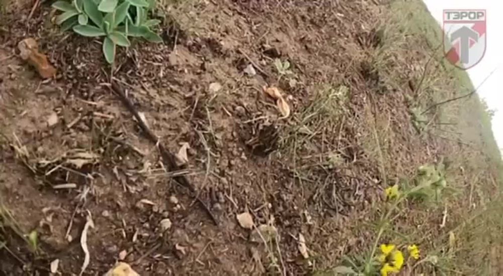 ��������� ����� � ������������ �������������� �� ������ ������� � ���������� �������