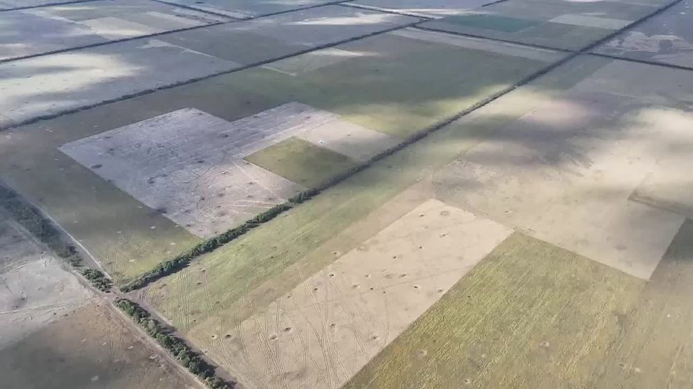 � �������� ��������� ���������� �����, �� �������, ����������������, ����������� �� �� ������������ ����������� ����������� ����������, ������������ � �������� ������� ��� �� ���������� �����������