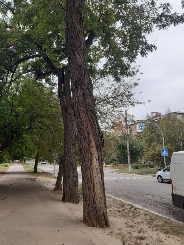 ������������ ������ ��������� � ������������ �������