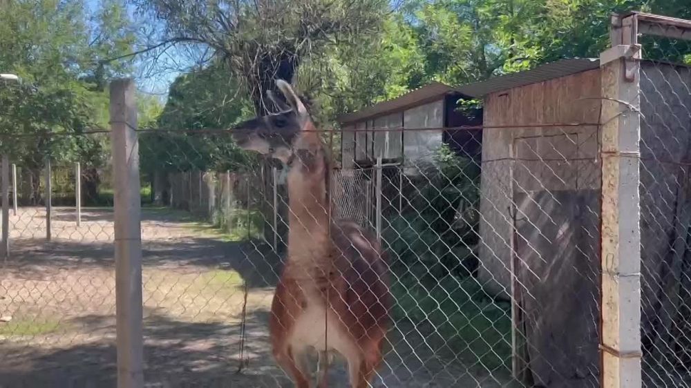 �������� ����������� ���������� ��������� � ������