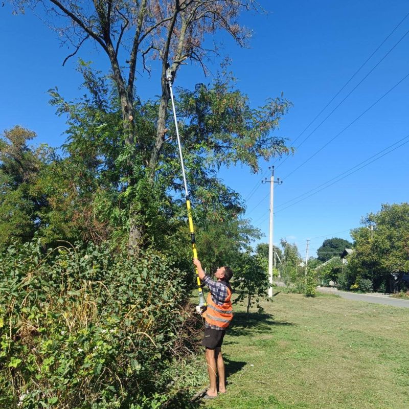 ���������� ������ ��������� � �������� ��������� ������ ������������ ��� ��������� ������� � ����������� ���������� ����������