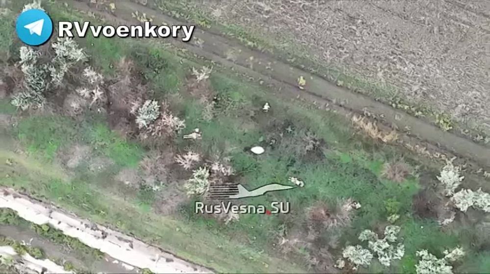 "�������� �������" ���� ����� �� ���������� �������� � 8 �����