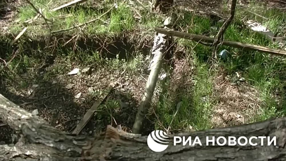 ���������� ������ �������� ����� � ���������� ��������, ������������ �� ���������-������������ �����������