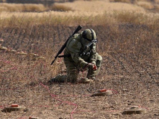 ������������ ������ �� �������: ������-���������� 12 ��������