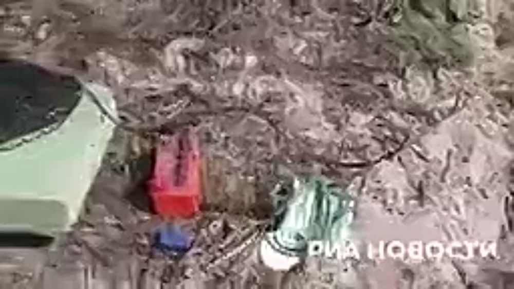 ���������� ���������� ��������