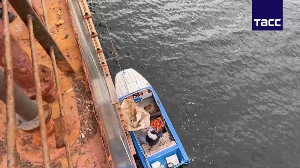 ������������� ������������ ����������� ���������� ������� �������� ������, � ��� ����� ��������� � ������, ������� ���������� ����� Sea Lord, ������� ��������� ��������������� � ����� ������� ��-�� ����������� ����������� �������� ����� ������