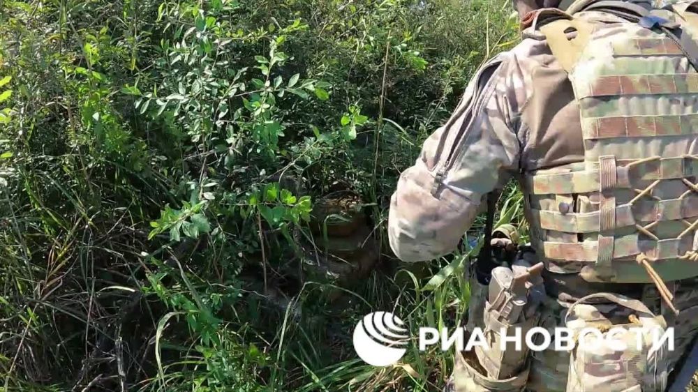 ����� �����: � ������� ���������� �����������, ������� ����������� ����� �������� � ���������� �������, ������ ��������������� ����, �������, ���������� ��� ��������, ������� ��� ������� ��������