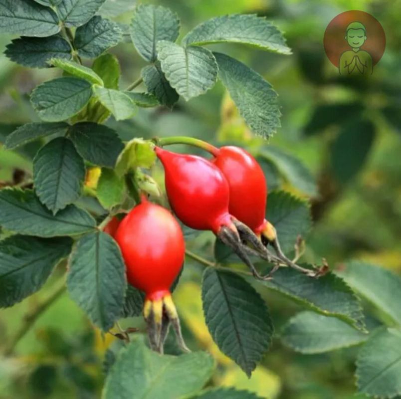 ���������� ��� � ����������