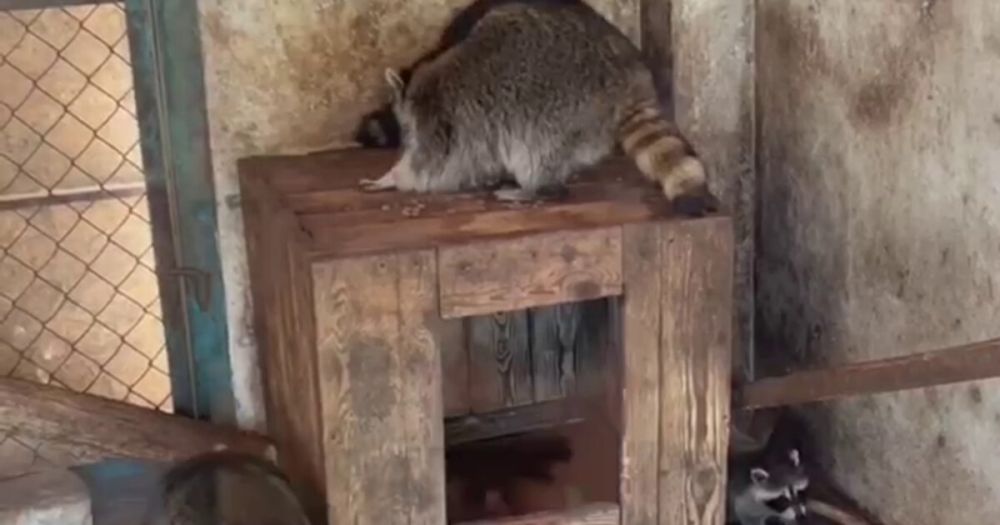 �������� �� ����������� ���������� ����� ������!