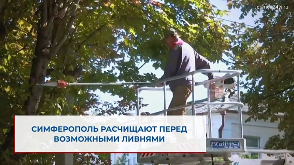 �������� ������������ ������� ����� ��� �� ���������� �����������