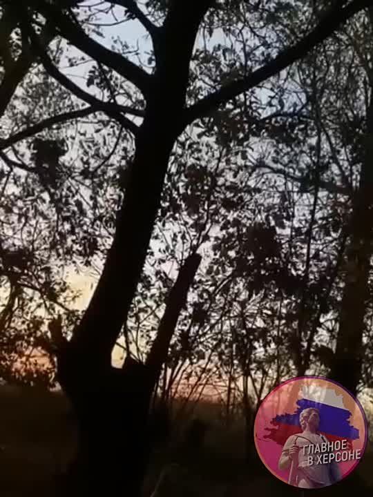 "����� �� ��, ��� ���������� ������