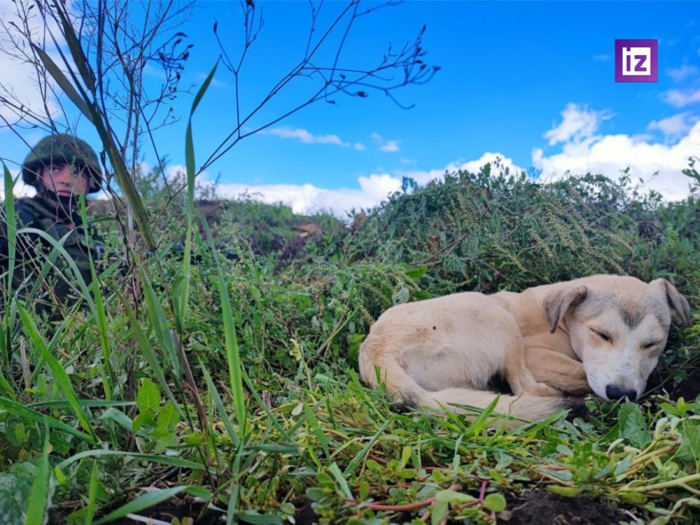 � ����� ������� �������� �������� ����