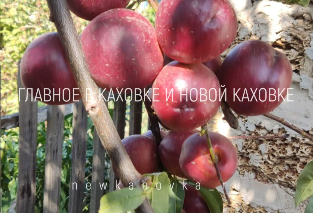 � ������� ������������ ����� ����