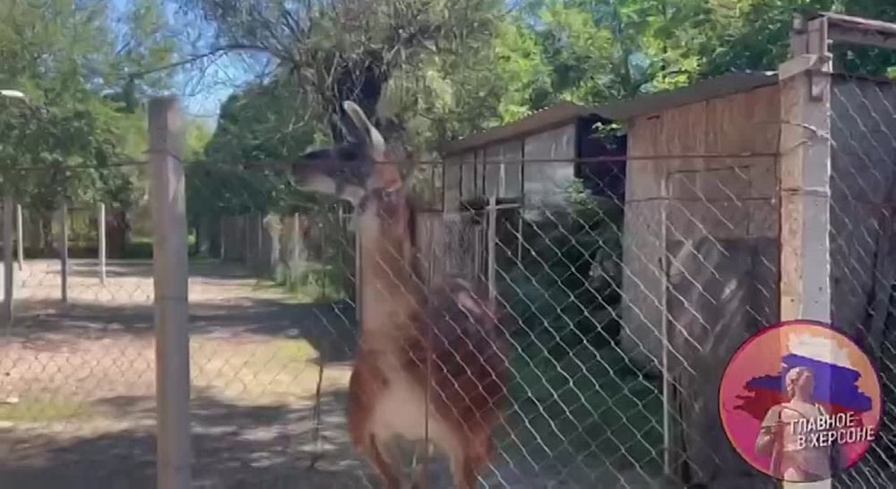 �������� �� ����������� ���������� ����� ������!