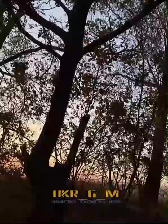 ������ �� ��, ��� ��� �������� ������? ���� �������� ���������