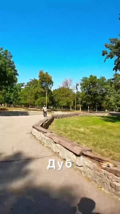 ���������� ����� �������� ������ ������� ������ ��������� ���������, ��� ��������� �� ����������