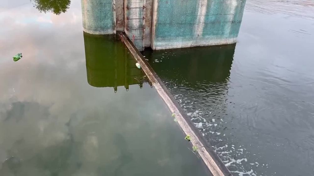 �� ���� ������� �������� ��������� ������ ����