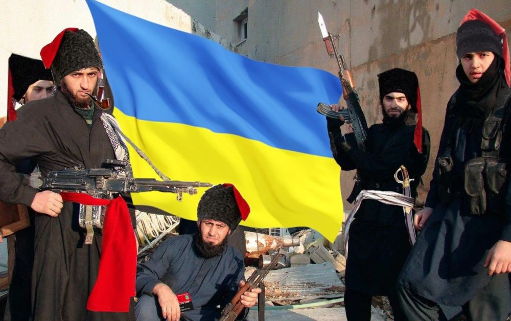 ������ ������ ��������, ��������� ������ ������ ������� �����, �������� �������