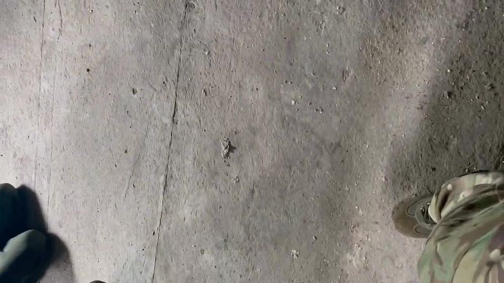 �� ���������� ����������� ������������ ���������� ���, ���� �������� ���� � �����