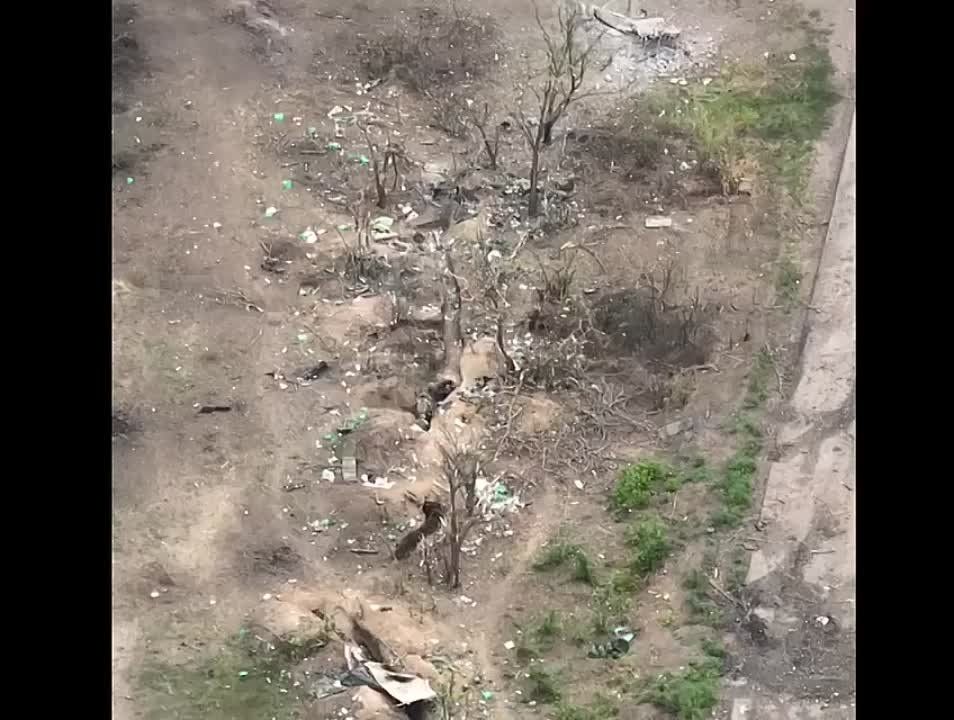 ���������� �������� �������� ���������� �� ���������� �����������