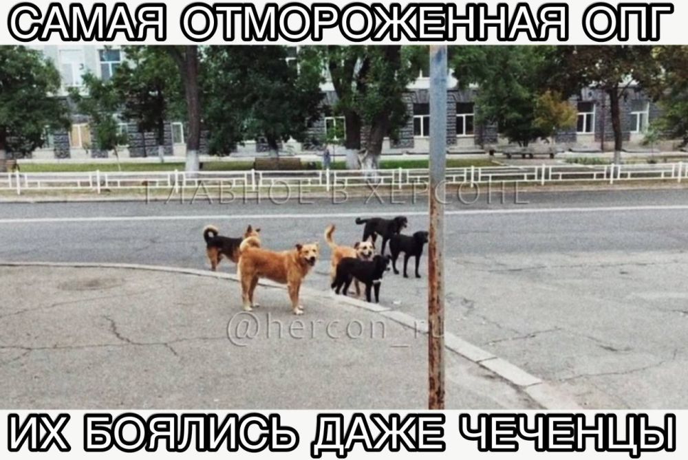 � ������� ������� ����������� ������� ������, �������� ������