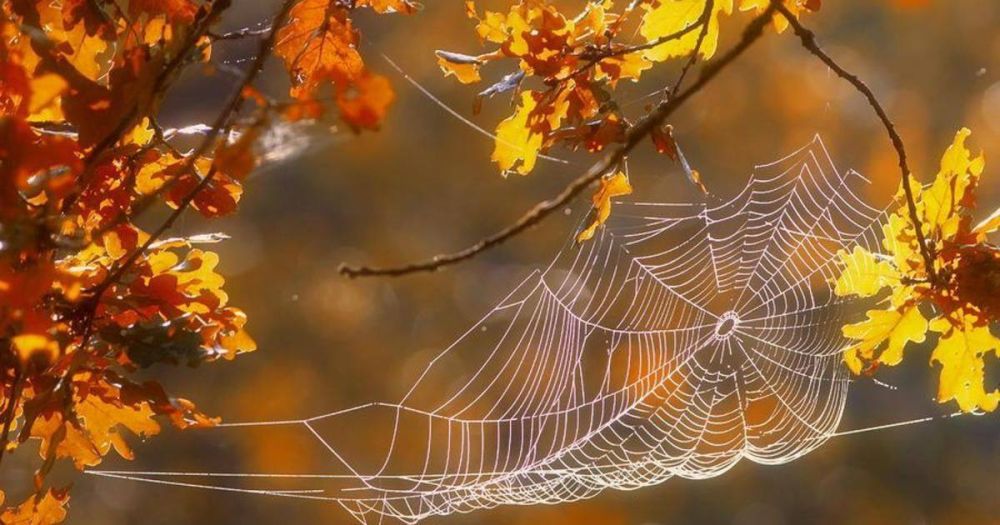 �������� �������� ������-������������ ���������� 14 �������� 2022 ����