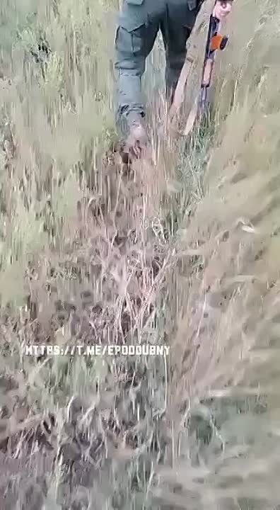 ����������� �� 65-� ��������� ������� ��� ���������� �������� ����� � ������ �������, �� ������ � ���� � �������