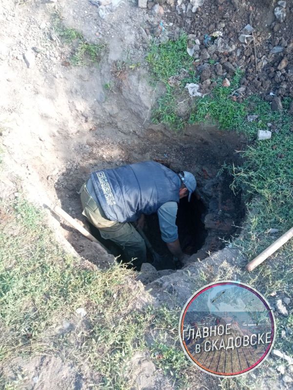 ���������� ������������� ����������� ������� �������� ������ � ���������