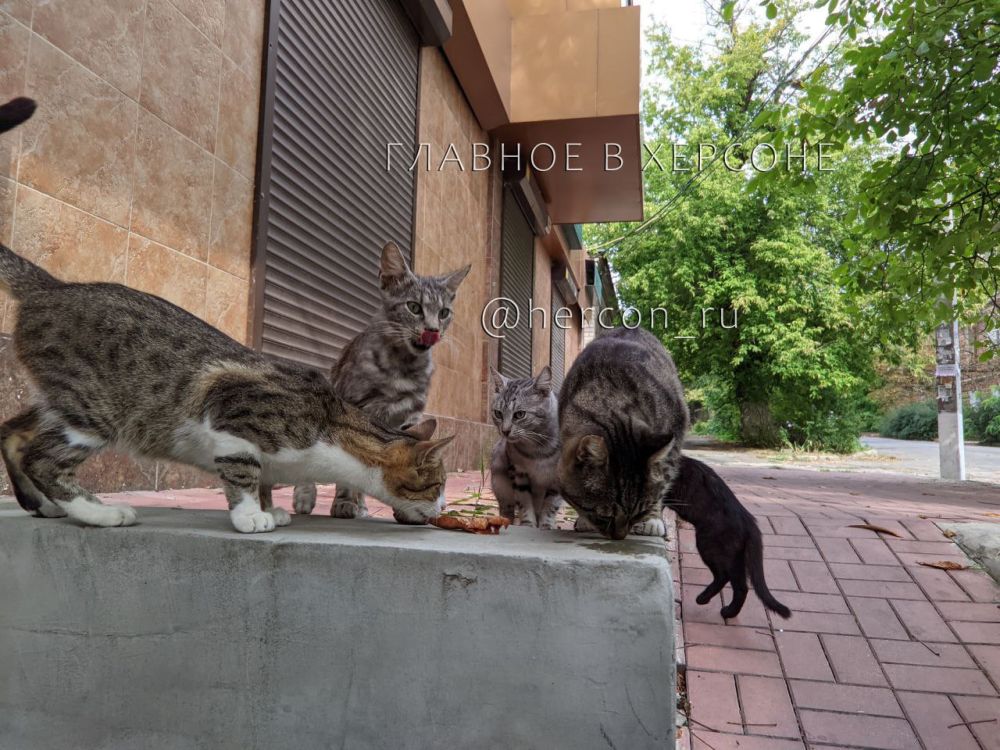 ������� ������� � ���� ����� � ��������� ��������� ������������ �������� ������� ������� �������