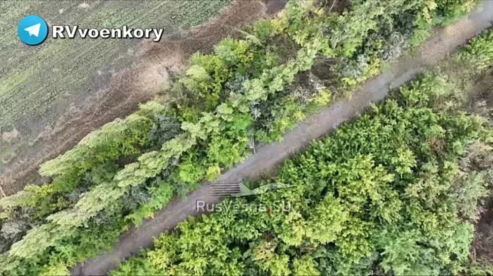 247-й казачий полк ВДВ охотится на ВСУ на Херсонщине