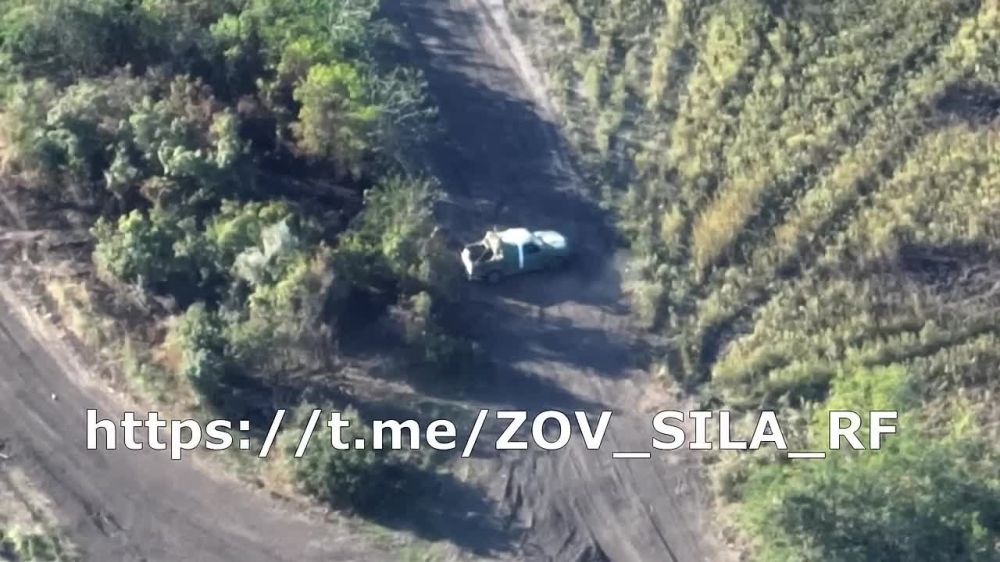 ТОС-1А Солнцепек нанёс точный удар по украинской технике, которая спряталась за посадкой