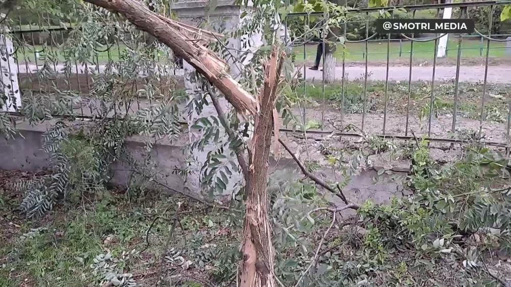 ����� �� ����� �������, ��� ��� ������� �������� ����