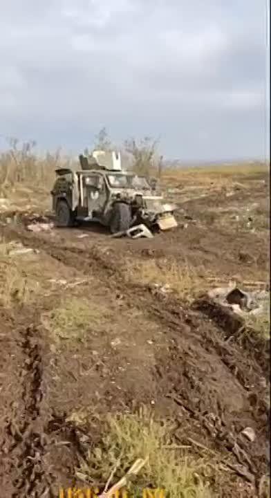 ������������ ������� ��� � ���������� �������: �������� ��������� ���������� ��������������� Husky TVS, ����� ����� ��������� ����������� �������� � ���������������� ������