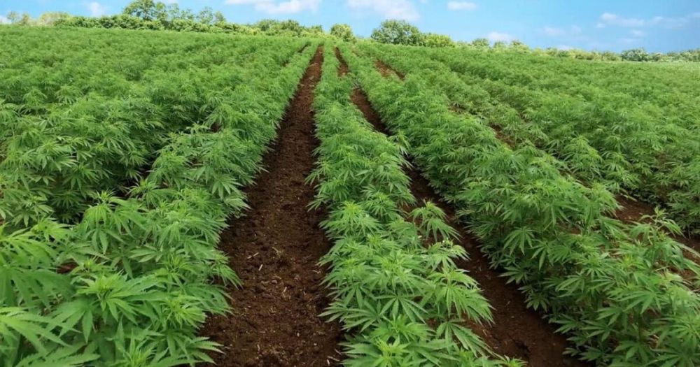 ����������� ������ ��� ��� ������� �������� ���������� �������������