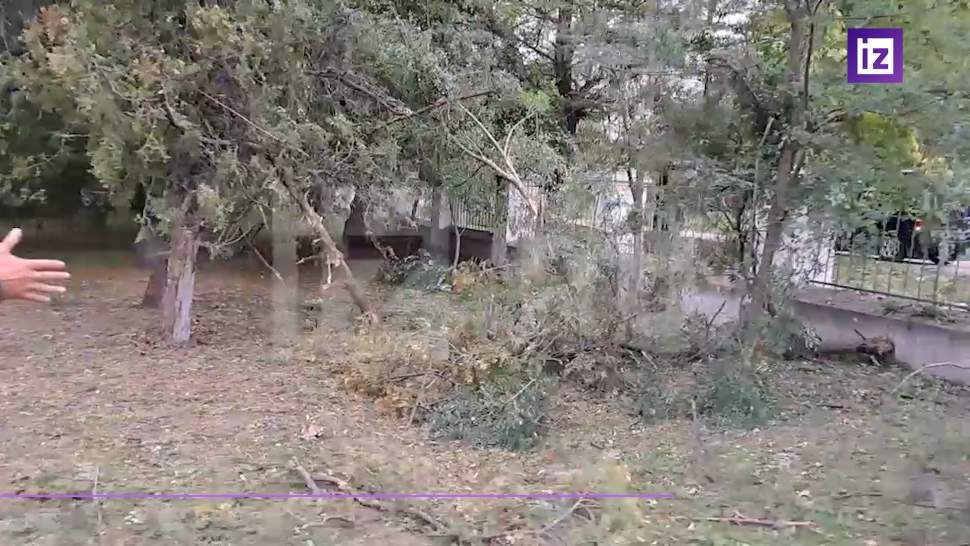 ������� ��������� ������� ����������� ����� ��� �� ����� � ����� �������