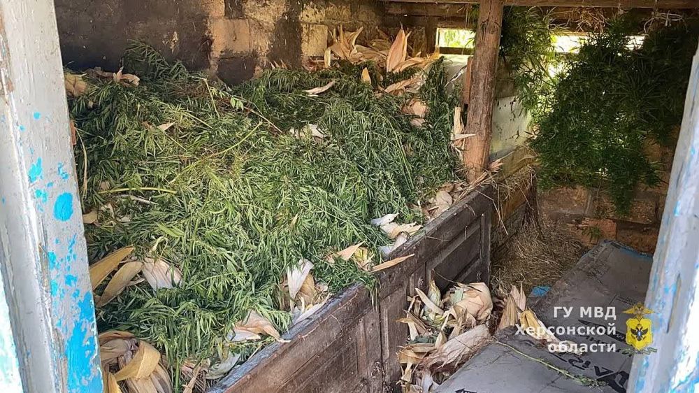 � ���� ������� ����������� ������� � �������� ������ ��������� ������� � ��������� �� ���